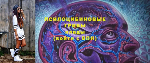 метадон Армянск