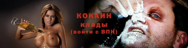 индика Новодвинск