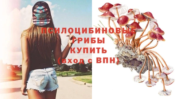 прущая мука Новозыбков