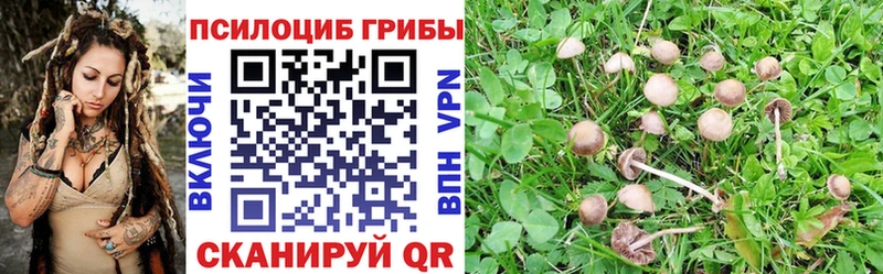 купить   Сатка  OMG зеркало  Галлюциногенные грибы ЛСД 